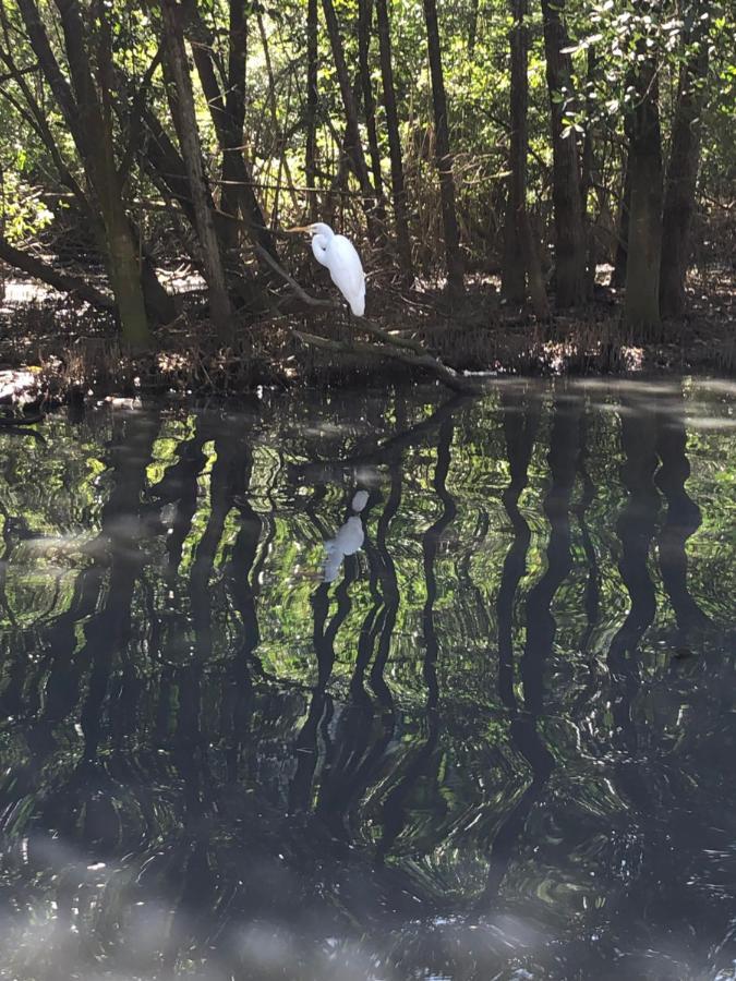 Paraiso Na Ilha Da Gigoia Рио-де-Жанейро Экстерьер фото